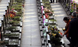 仁懷市民清明祭掃警示 使用此類(lèi)冥幣將面臨最高5萬(wàn)元罰款