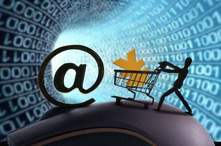 巨頭競相布局 互聯(lián)網(wǎng)保險發(fā)展提速